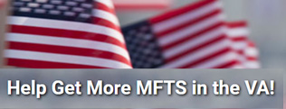 MFTs in the VA